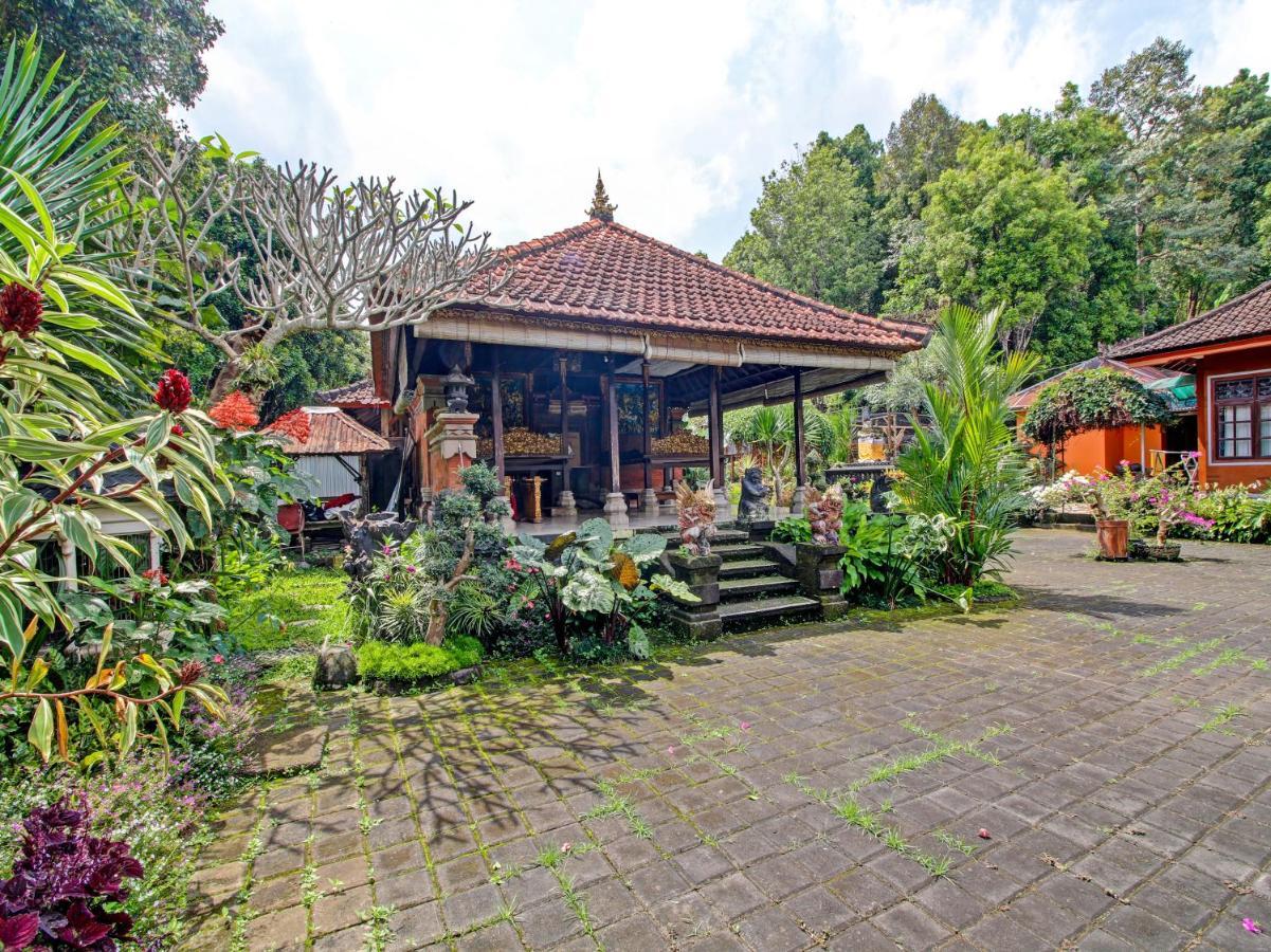 Oyo Homes 91091 Desa Wisata Umejero Munduk Eksteriør bilde