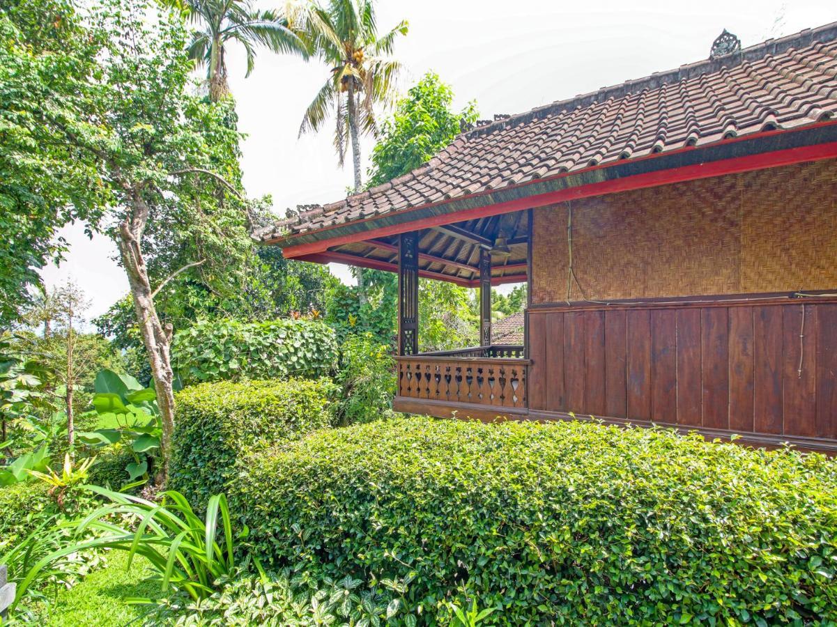 Oyo Homes 91091 Desa Wisata Umejero Munduk Eksteriør bilde