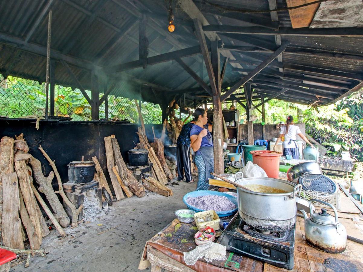 Oyo Homes 91091 Desa Wisata Umejero Munduk Eksteriør bilde
