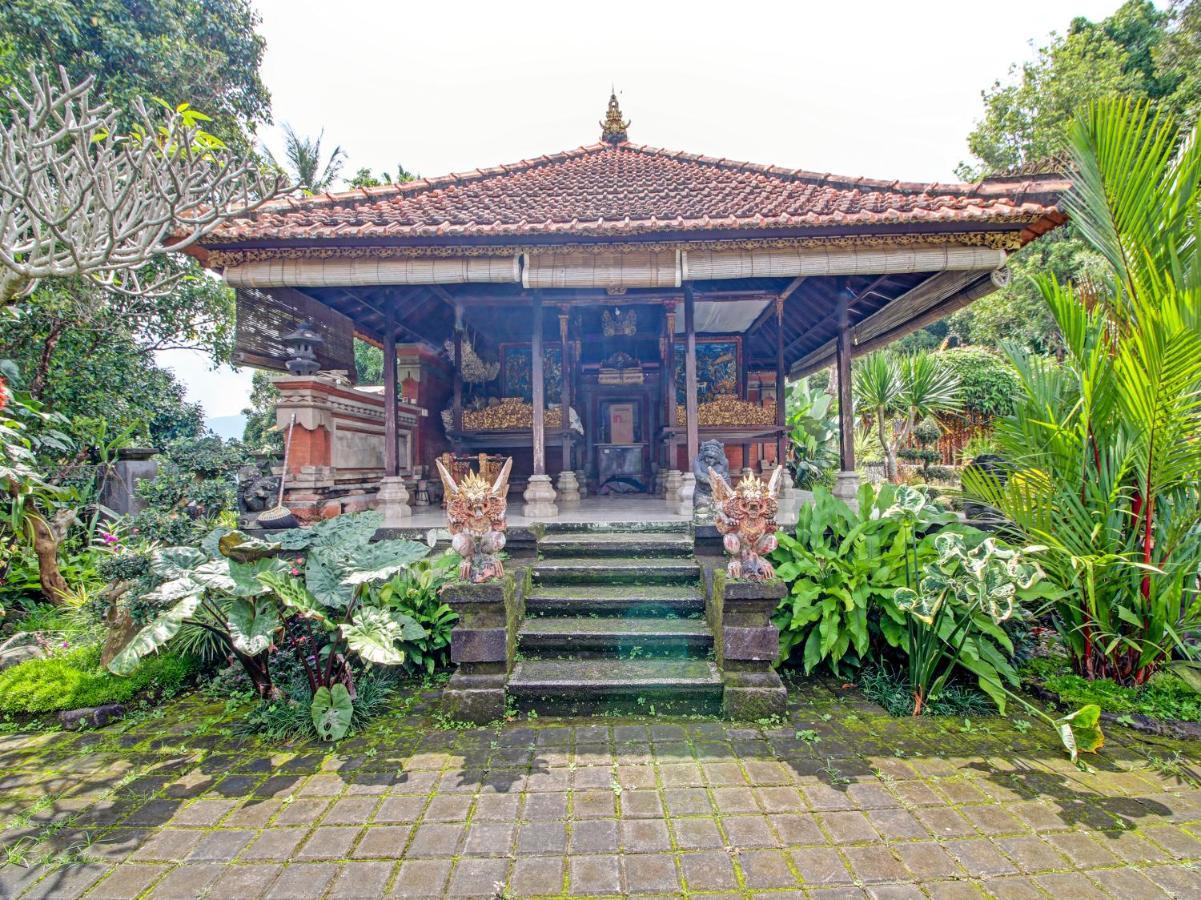 Oyo Homes 91091 Desa Wisata Umejero Munduk Eksteriør bilde