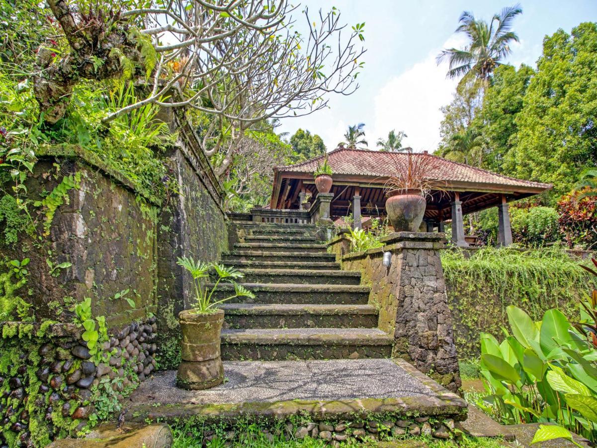 Oyo Homes 91091 Desa Wisata Umejero Munduk Eksteriør bilde