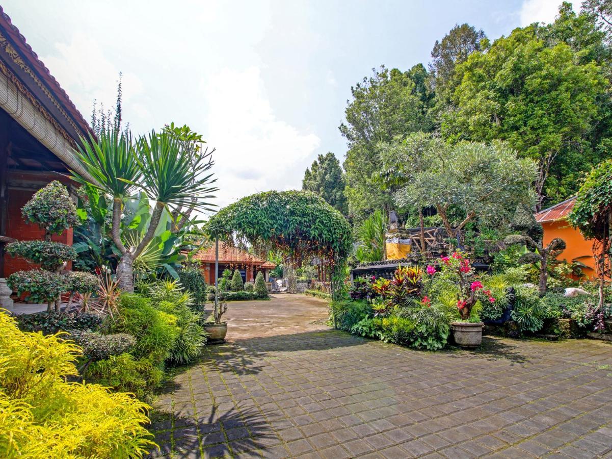 Oyo Homes 91091 Desa Wisata Umejero Munduk Eksteriør bilde
