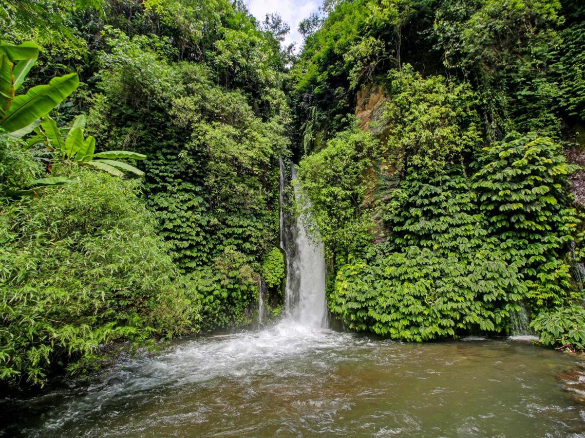 Oyo Homes 91091 Desa Wisata Umejero Munduk Eksteriør bilde
