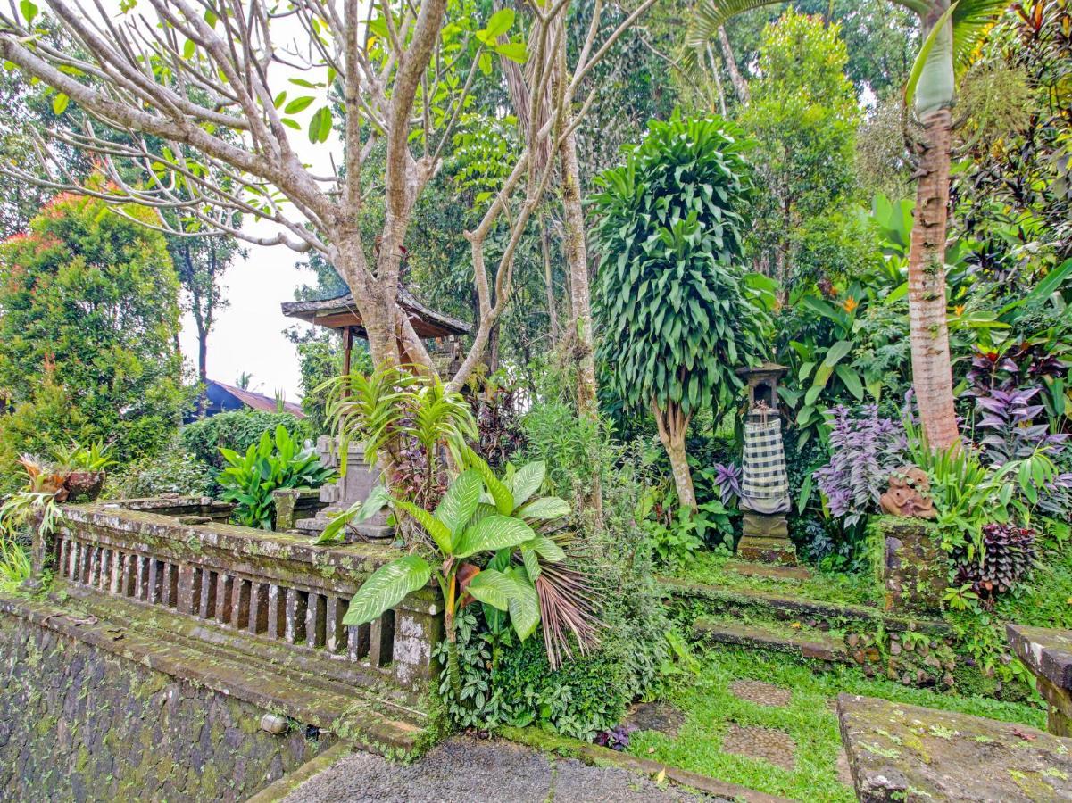 Oyo Homes 91091 Desa Wisata Umejero Munduk Eksteriør bilde