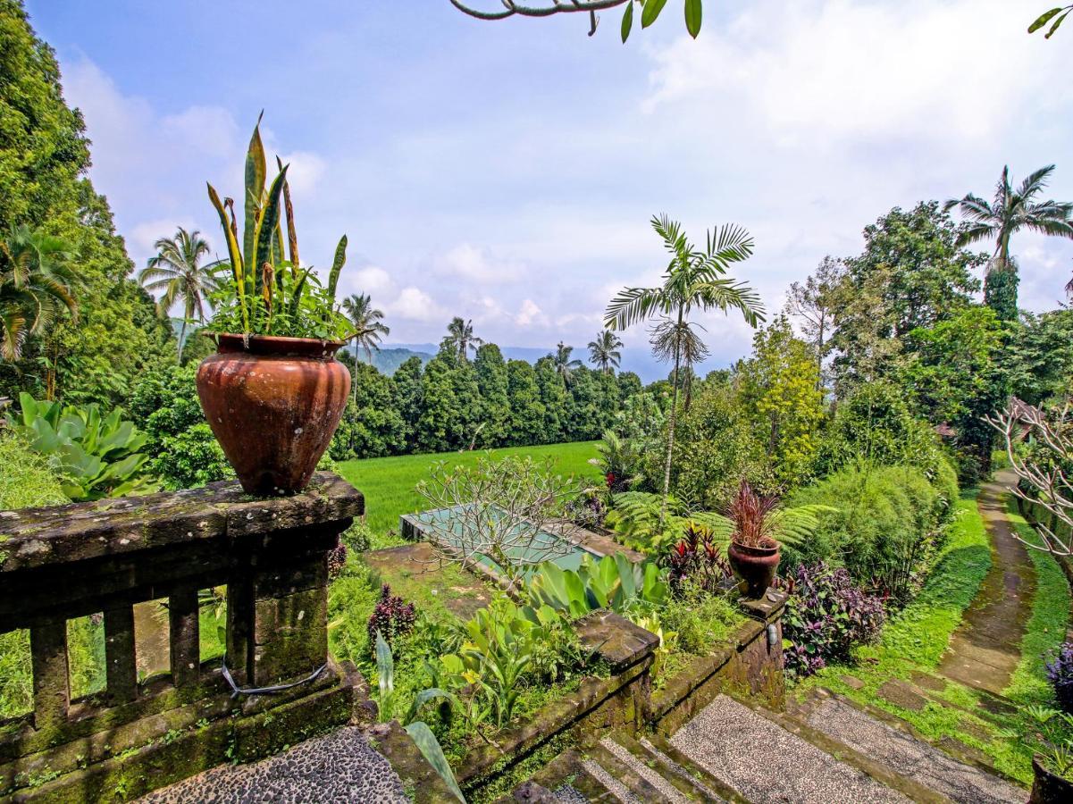 Oyo Homes 91091 Desa Wisata Umejero Munduk Eksteriør bilde