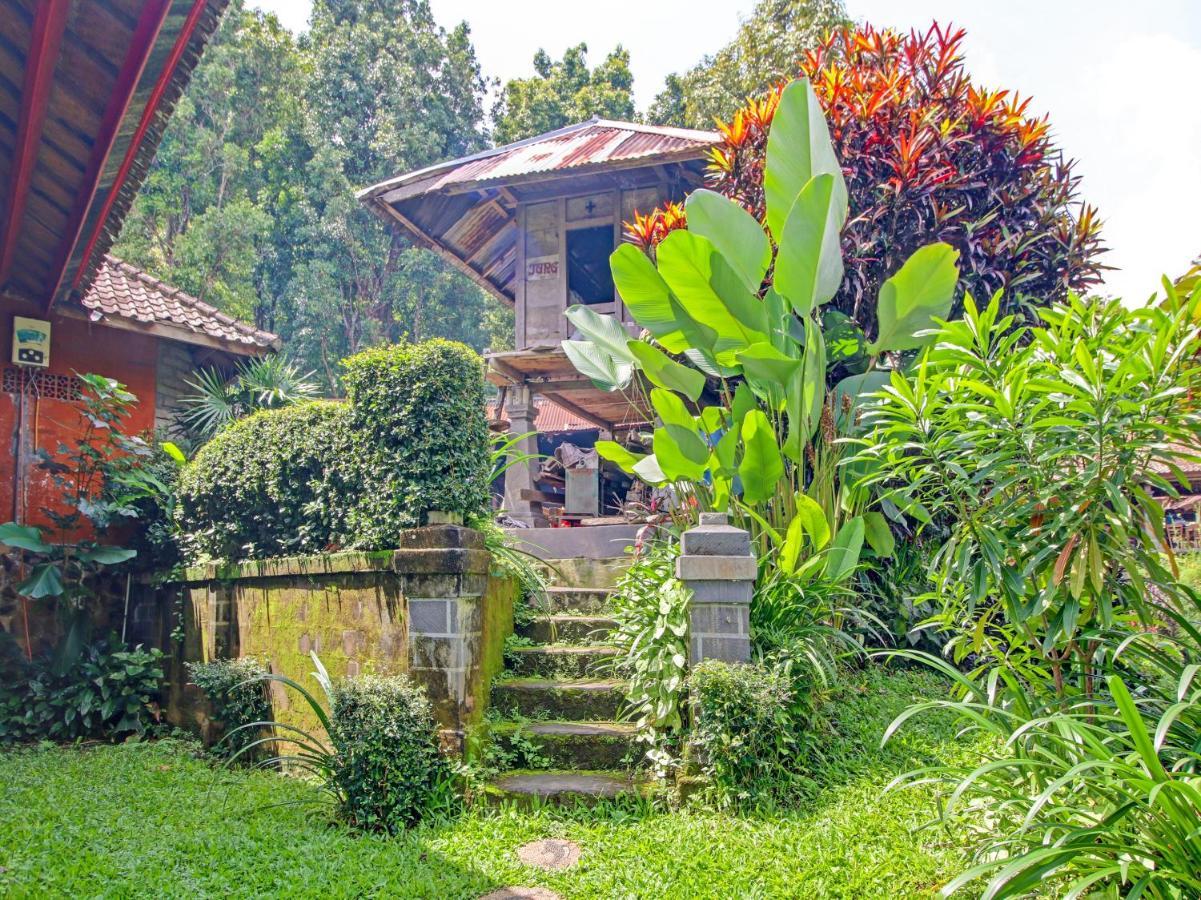 Oyo Homes 91091 Desa Wisata Umejero Munduk Eksteriør bilde