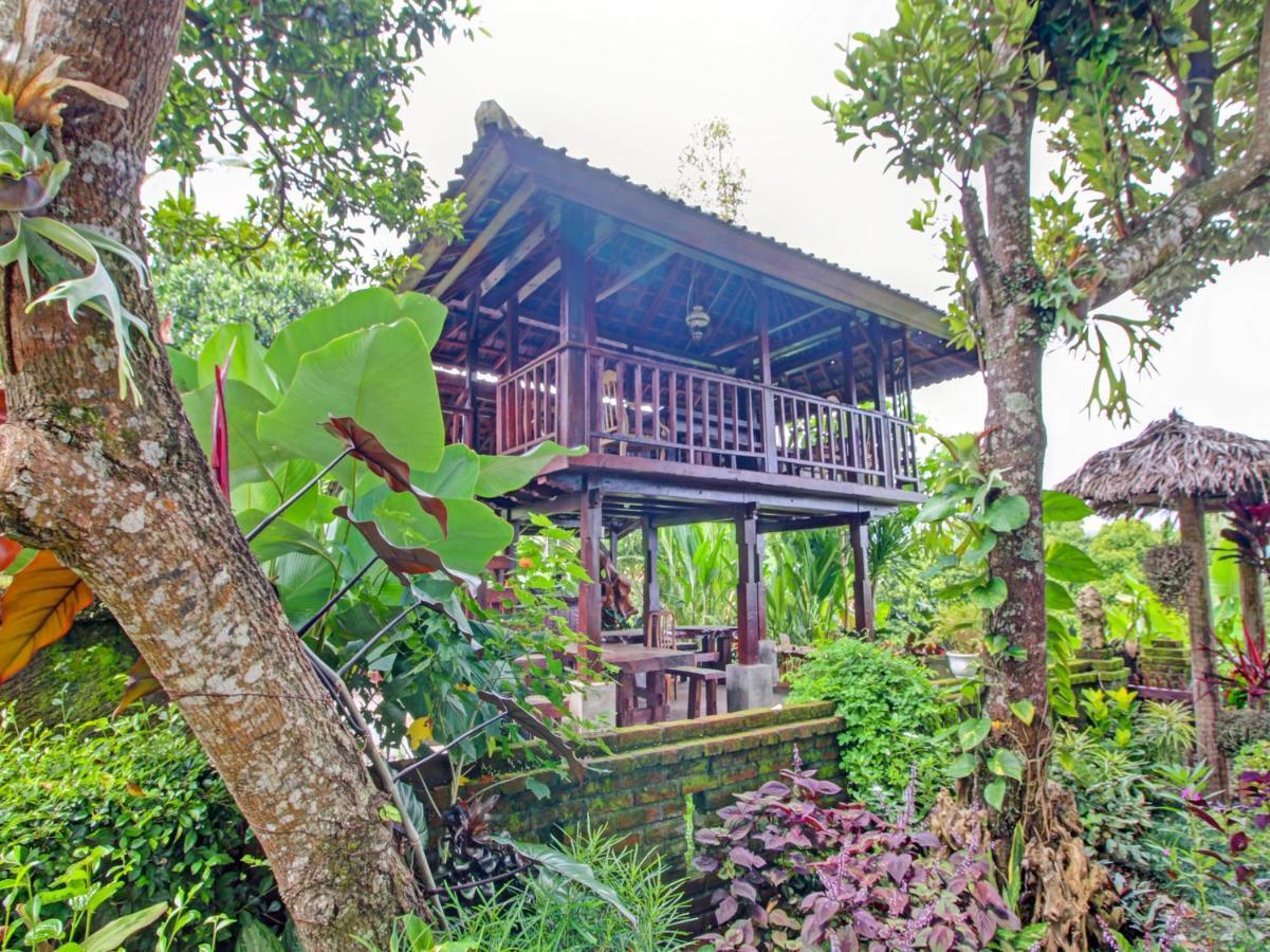 Oyo Homes 91091 Desa Wisata Umejero Munduk Eksteriør bilde