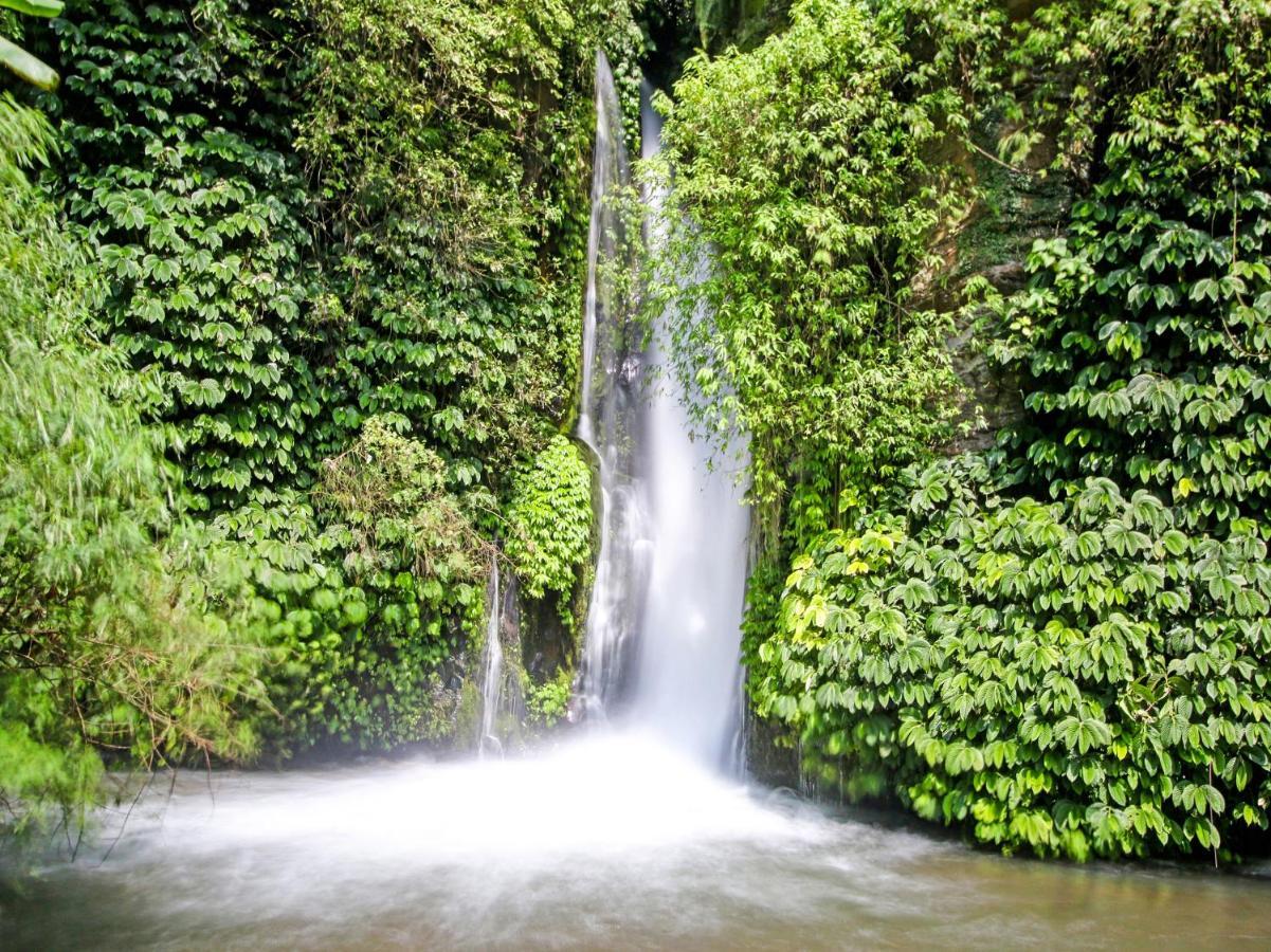 Oyo Homes 91091 Desa Wisata Umejero Munduk Eksteriør bilde